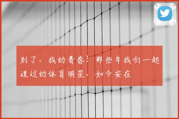 别了，我的青春！那些年我们一起追过的体育明星，如今安在